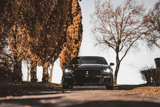 HippoZino Kasino Android/iOS Aplikácia